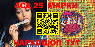 мдпв Кингисепп