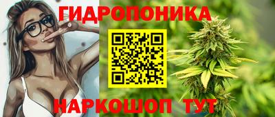 мдпв Кингисепп