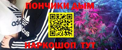 мдпв Кингисепп