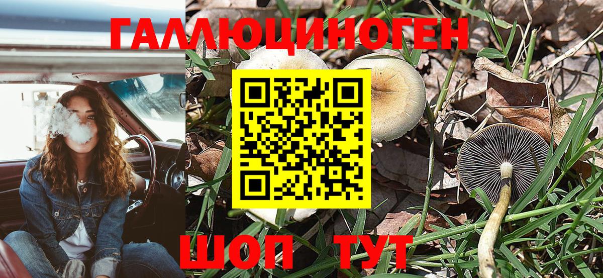 Псилоцибиновые грибы ЛСД  Псилоцибиновые грибы мицелий  Канаш  Вход с VPN 